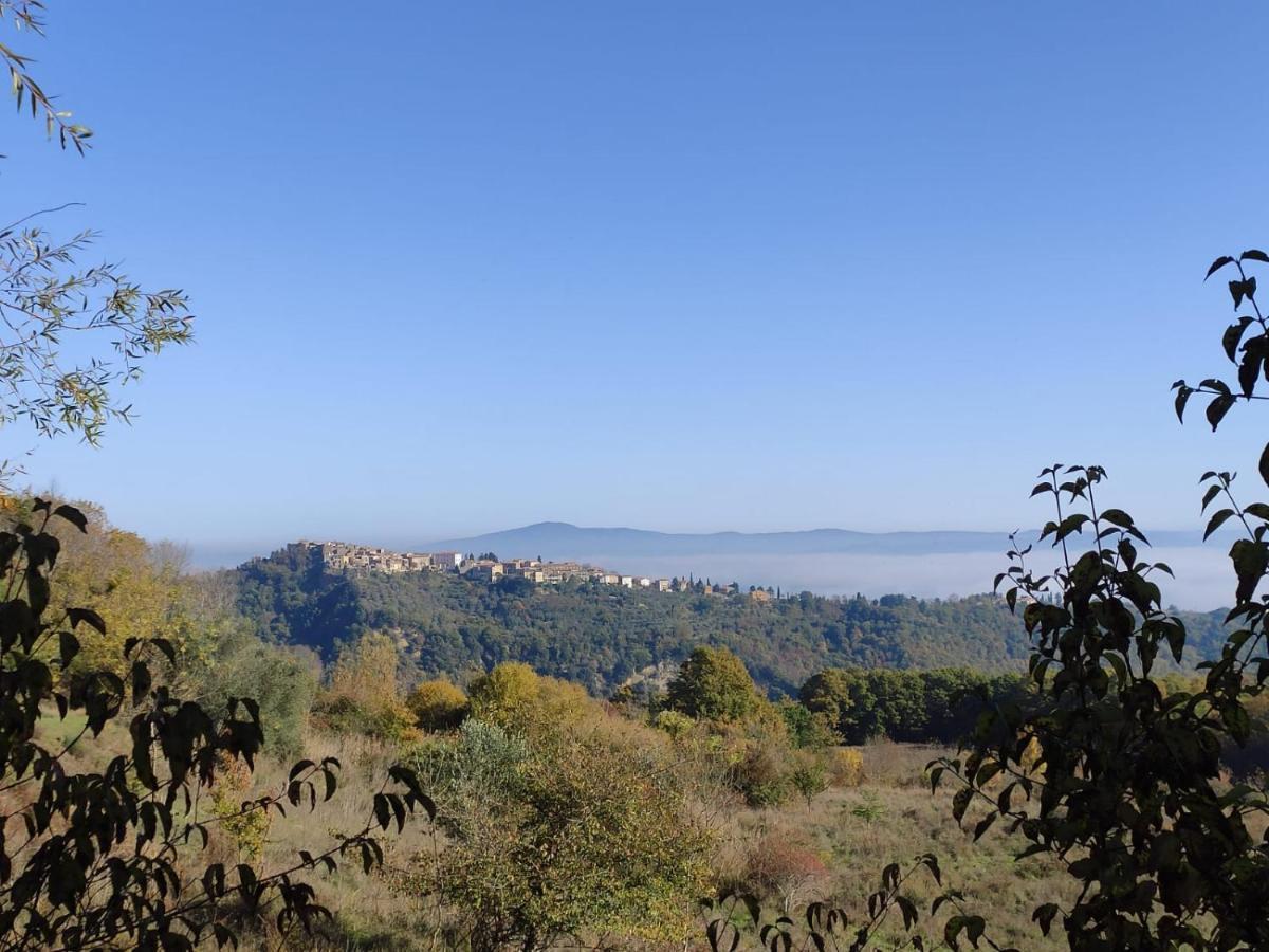 Casetta Edera Allerona Buitenkant foto